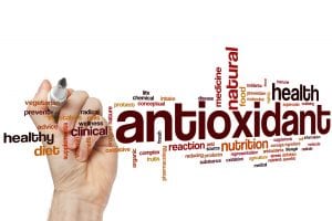 antioxidants help your immune system
